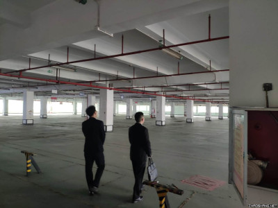 深圳龙华区观澜大道10000平米厂房出租				