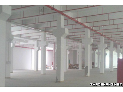 广东顺德2000平米厂房招租价格优惠可分租