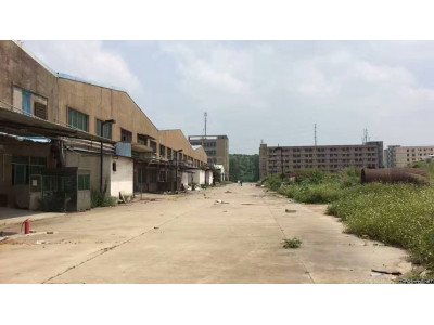 广州增城厂房6000平米出租丨单层，有宿舍