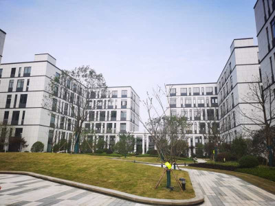 嘉善县厂房出售浙江嘉善国家级开发区50年产权厂房出售,距莘庄50公里