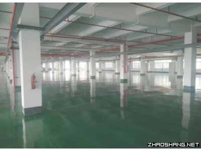东莞大朗3000平米厂房出租可以分租