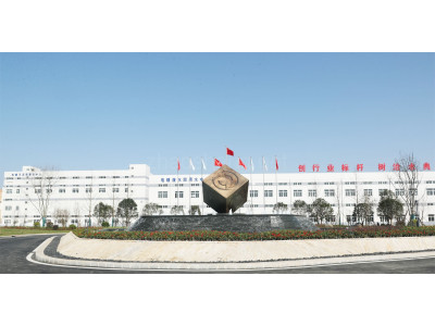 湖北电镀产业园2880平米厂房出租 华中电镀园区有航吊 环评