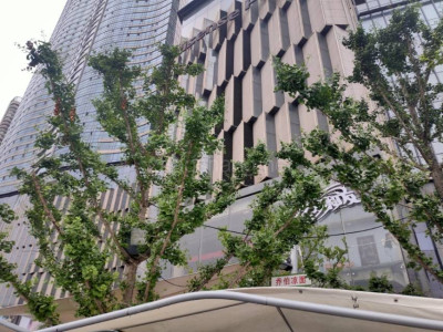 芜湖鸠江区30000平米写字楼出租 环境好