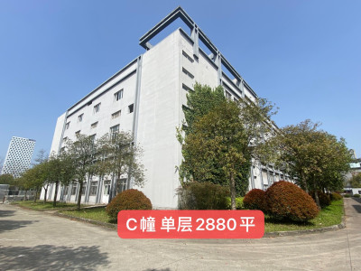 杭州滨江核心文创街区园区单层2880平园区