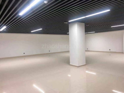 德州禹城市2000平米写字楼出租 大开间 交通便利 精装修 价格面议