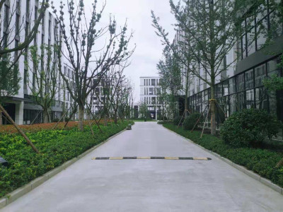 嘉善县厂房出租嘉善3层独栋现房 3600平 50年产权 已预留电梯井 政策好