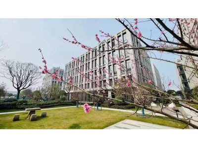 津南区厂房出租出租出售 全新大产权厂房 证件齐全 自带环评 助力企业发展