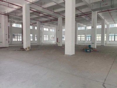 肇庆四会市1000平米厂房出售 配套齐全 政府扶持 可代办 排水排污方便