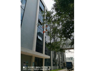 开发区广园快速路口生产厂房招租