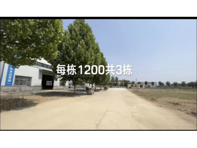 菏泽牡丹区1200平米厂房出租 配套齐全 配电大 面积灵活 可分租
