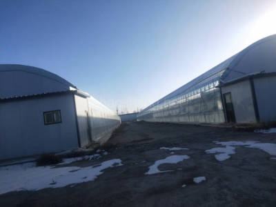甘肃厂房出租武威凉州区50000平米厂房出租