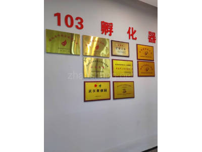 武汉蔡甸区1200平米写字楼出租