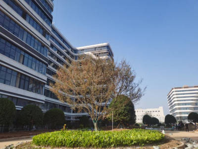 湖北厂房出租武汉江夏区2190平米厂房出售
