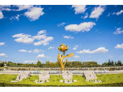 烟台市莱州市16000米国有大证花开嫁日酒店沿街房