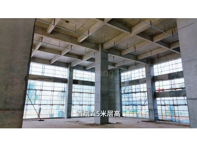 四川厂房出租租厂房不是长久之计 购置园区厂房 独立产权厂房